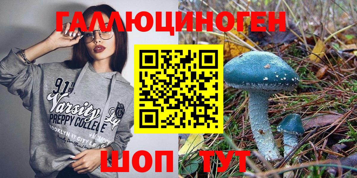 Сосновоборск  Галлюциногенные грибы Psilocybine cubensis  Вход с VPN 